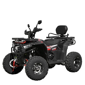 Квадроцикл AT200L-2-3 бензин.200 см³,авт F/N/R,пер.та задні диск.гальма,10″ литі кол.LCD.фар.до150кг - 1 - smarttoys.com.ua