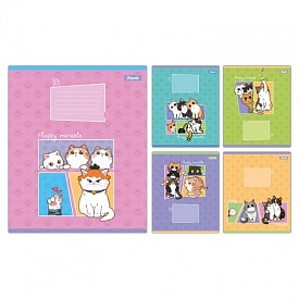 А5/12 кл. 1B Fluffy miracle, зошит учнівський шкільний - 1 - smarttoys.com.ua