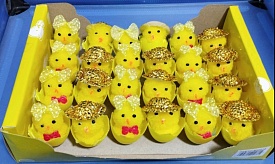 MA22-78 курчата в яйці 24 шт. *100*1 - 1 - smarttoys.com.ua