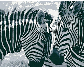 Набір для розпису "Смугаста ніжність" ТМ "RIVIERA BLANCA", шт RB-0415	 - 1 - smarttoys.com.ua