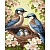 Набір для розпису по номерах "Родина синиць у цвіті" 40х50см - 1 - smarttoys.com.ua