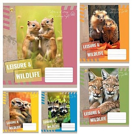 Зошит 18 арк.клітинка Тверда ТЕ41210 Дикі тваринки, 20/400, 5к. - 1 - smarttoys.com.ua