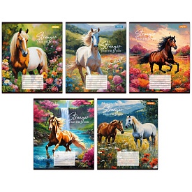 А5/36 лін. 1В Stronger than the storm, зошит для записів - 1 - smarttoys.com.ua