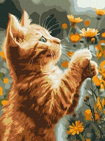 Набір для розпису по номерах "Рудий пухнастик" 30х40см - 1 - smarttoys.com.ua