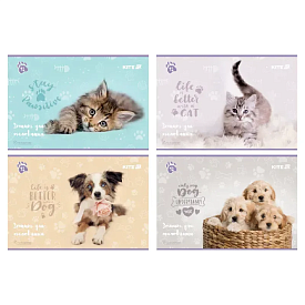 Зошит для малювання, 12 арк., скоба, софт тач + УФ лак, RH - 1 - smarttoys.com.ua