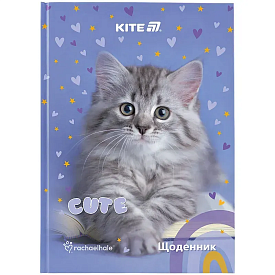 Щоденник шкільний, тверда обкл, RH - 1 - smarttoys.com.ua