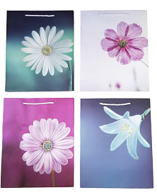 Пакет подарунковий паперовий S "Flowers" 23*18*10см R91493-S - 1 - smarttoys.com.ua