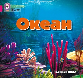 Книга. Океан. Бекка Геддл - 1 - smarttoys.com.ua