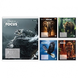 А5/24 кл. 1B Beasts in Focus, зошит учнівський шкільний - 1 - smarttoys.com.ua