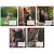 А5/24 лін. 1B Animals of Ukraine, зошит учнів. - 1 - smarttoys.com.ua