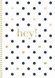 Зошит для записів, спiраль, В5/80арк., у клітинку, білий блок, 90г/м2, ПК , мат. ламінація + тиснення, Genius - 1 - smarttoys.com.ua