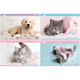 Зошит для малювання, 12 арк., скоба, софт тач + УФ лак, RH - 1 - smarttoys.com.ua