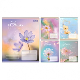 А5/12 кл. 1B Tender Flowers, зошит учнівський шкільний - 1 - smarttoys.com.ua